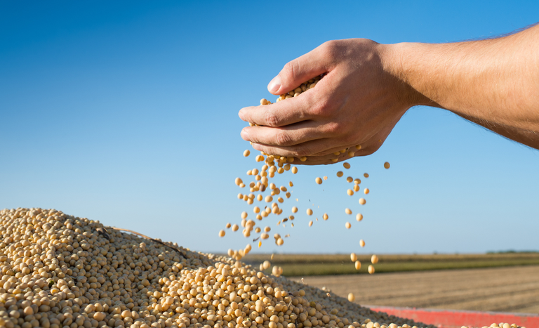 Brasil celebra liderança no agro e reforça papel essencial na segurança alimentar global com produção recorde. Foto: Divulgação