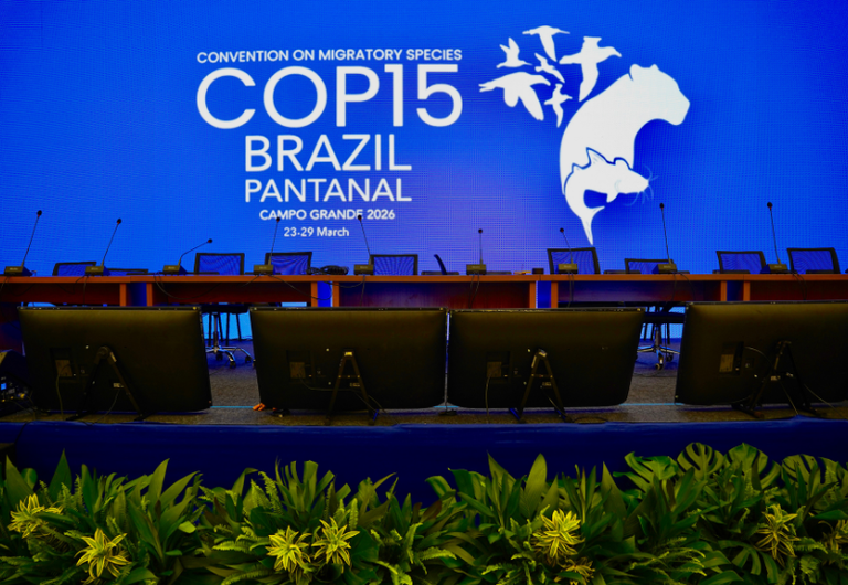 COP15 acontece de 23 a 29 de março. - Foto: Rogério Cassimiro/MMA