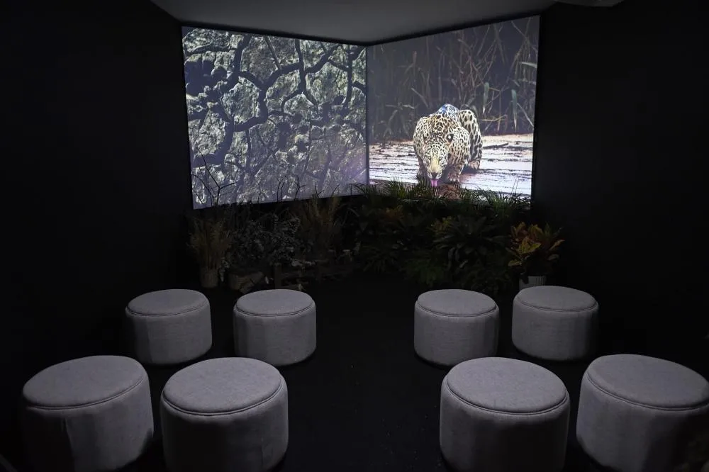 Casa do Homem Pantaneiro vira palco aberto da COP15 com programação gratuita em Campo Grande