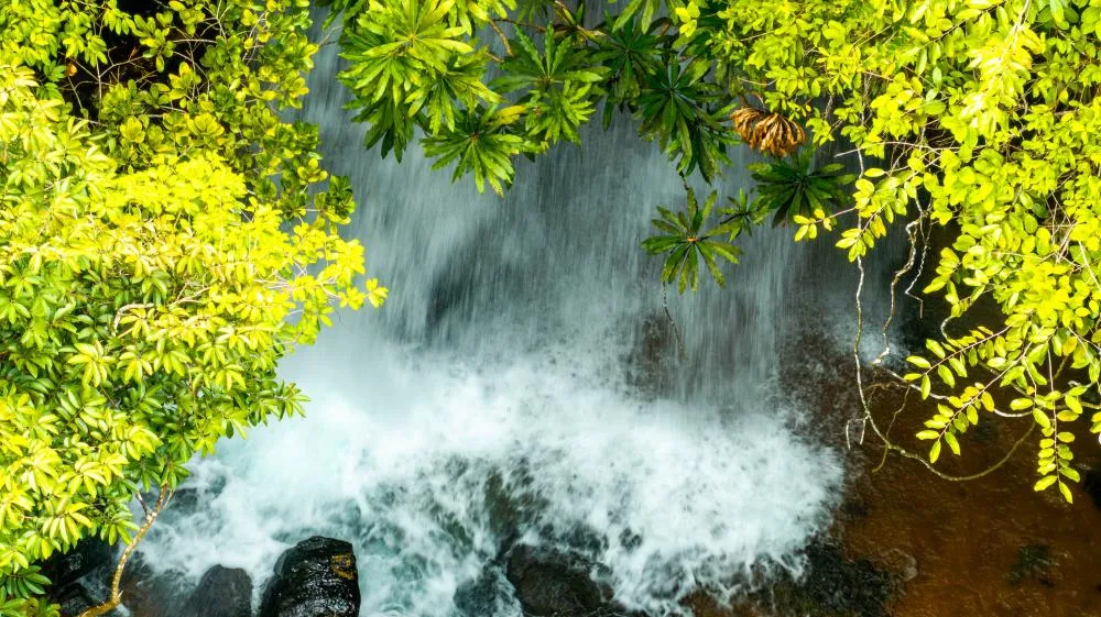 Salgadeira é reinaugurada em Chapada com nova gestão e foco em turismo sustentável